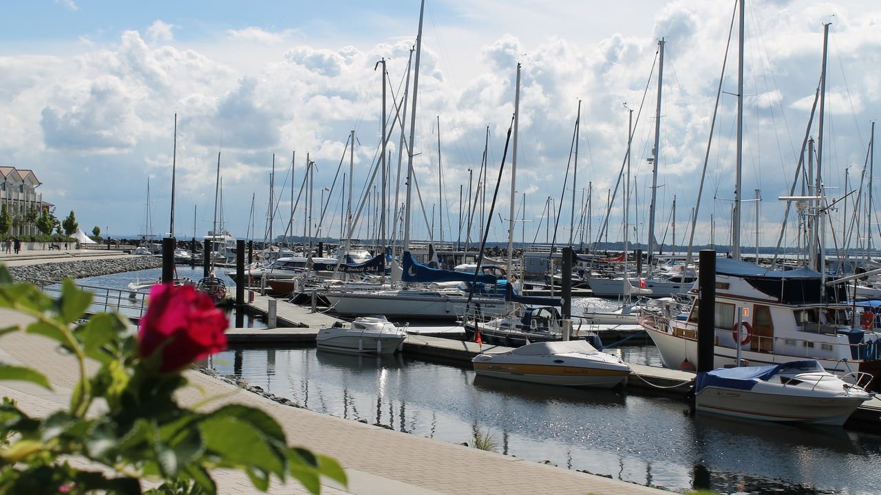 AreaSummer5KM AreaSummer5KM